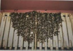 IMG_20220111_164843_538.jpg